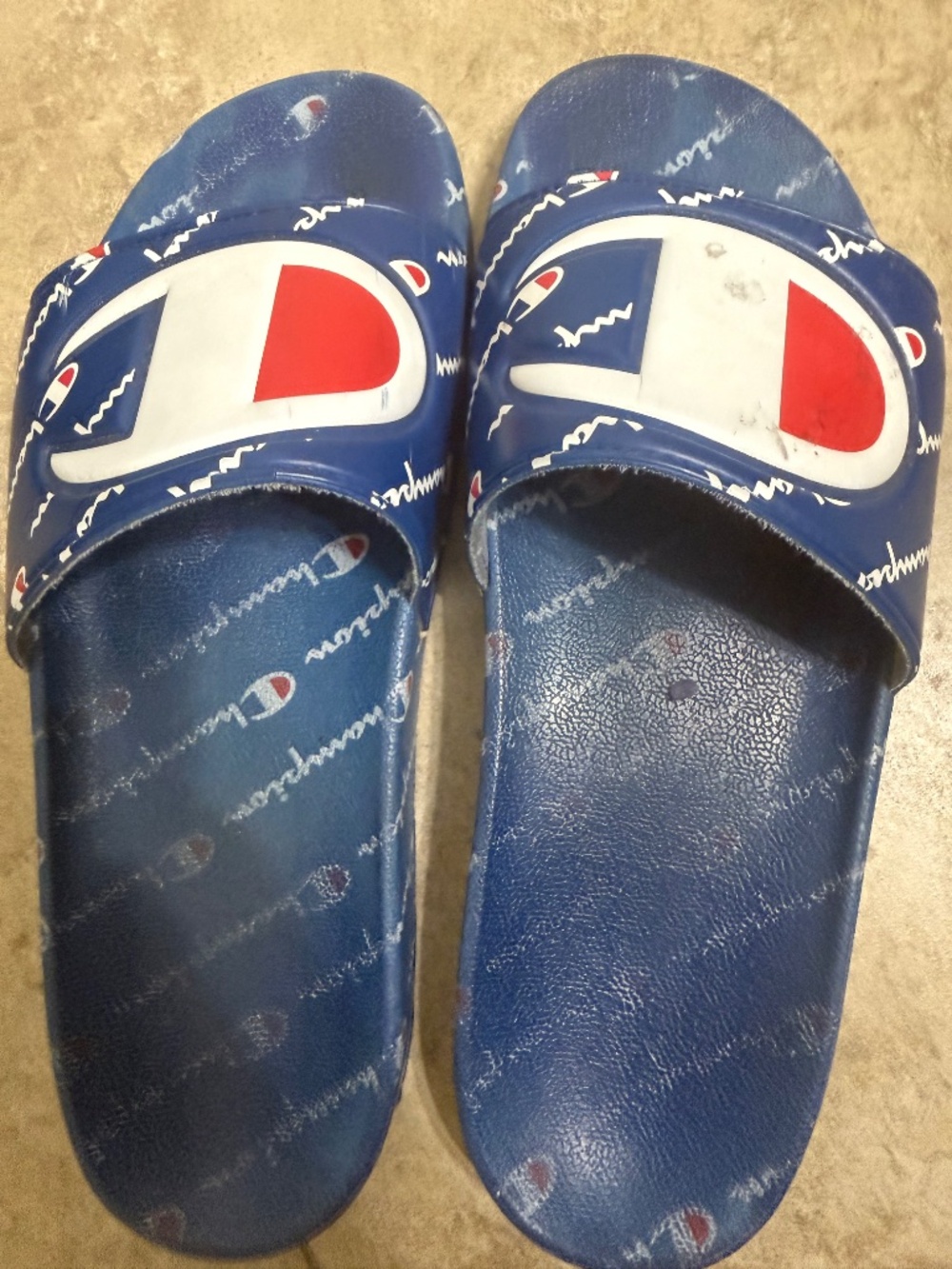 Champion Slides - Picture 3 of 4
